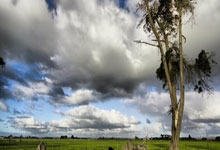 羅馬主帥穆裏尼奧準備對陣容重建換血 已獲得球隊老板的支持.