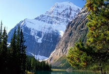 ⚽英超战报:塞塞尼翁闪击,穆尼兹破门,富勒姆2-1力克狼队.